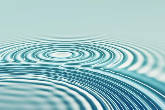 BetBeard Cazino Cazinou Suport